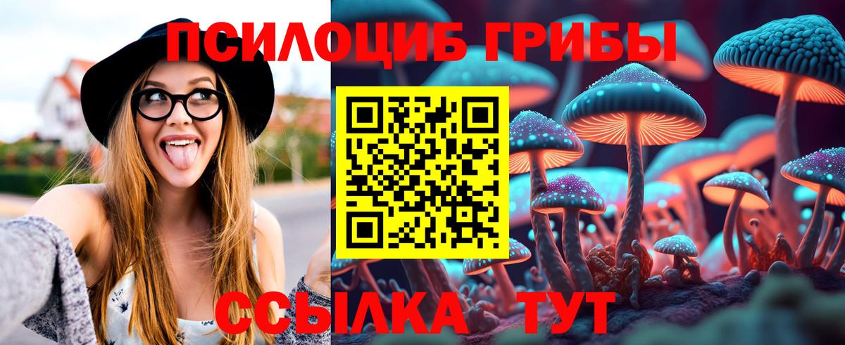 Галлюциногенные грибы Magic Shrooms Моздок