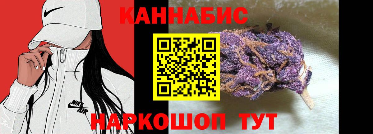 Шишки марихуана марихуана Моздок